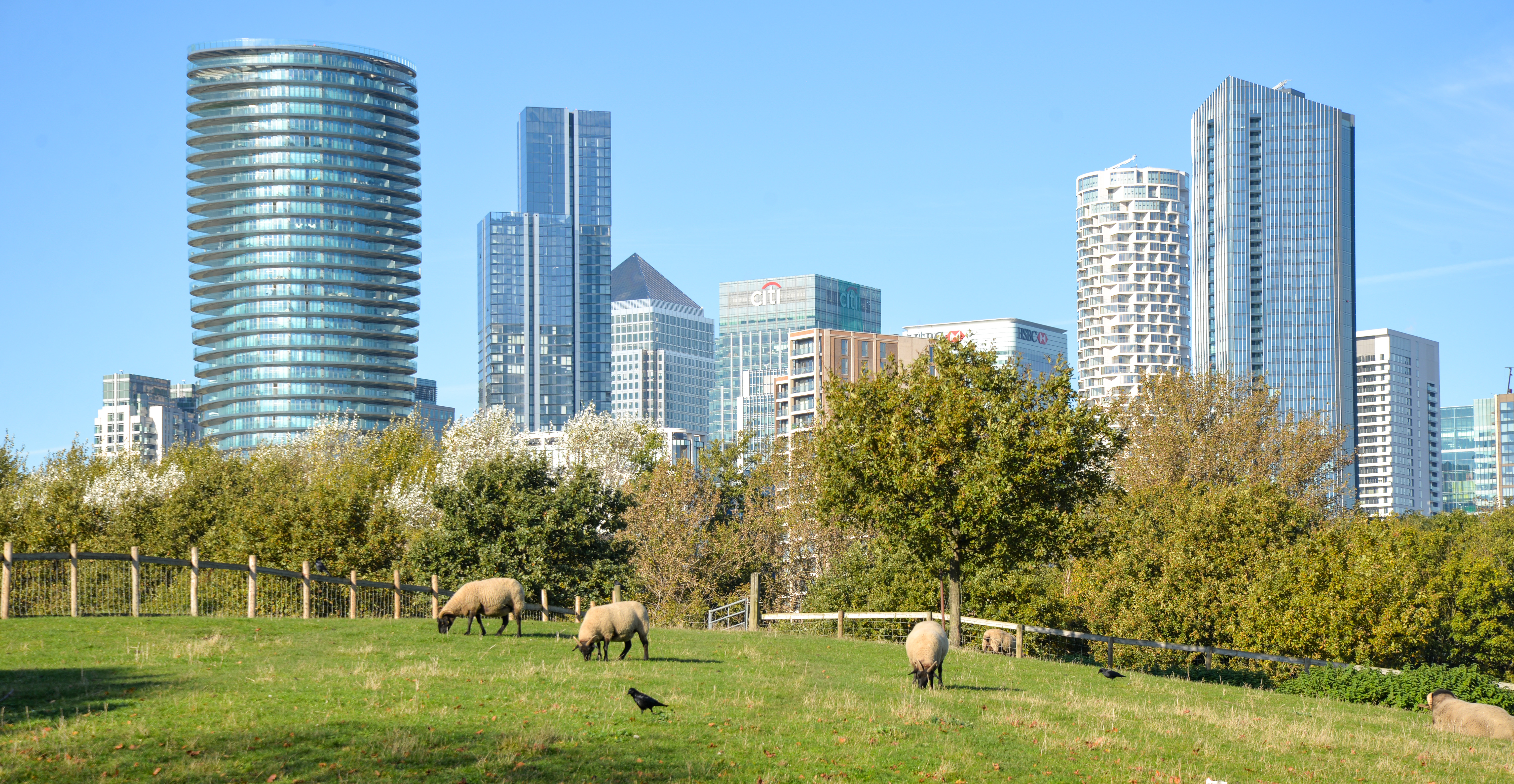 Canary Wharf Skyline